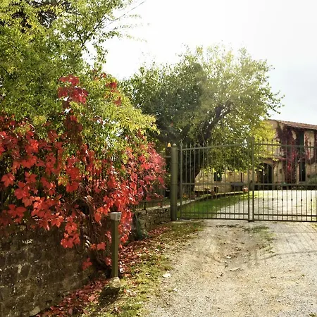Stampa Cabate